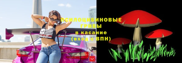 а пвп мука Аркадак