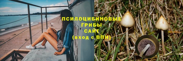 стафф Армянск