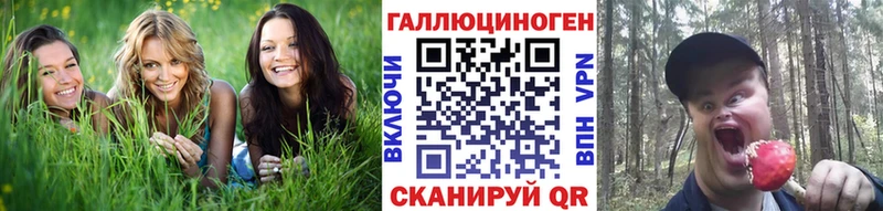 kraken ТОР  Россошь  Галлюциногенные грибы мицелий 