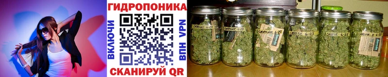 Бошки Шишки ГИДРОПОН  Россошь 